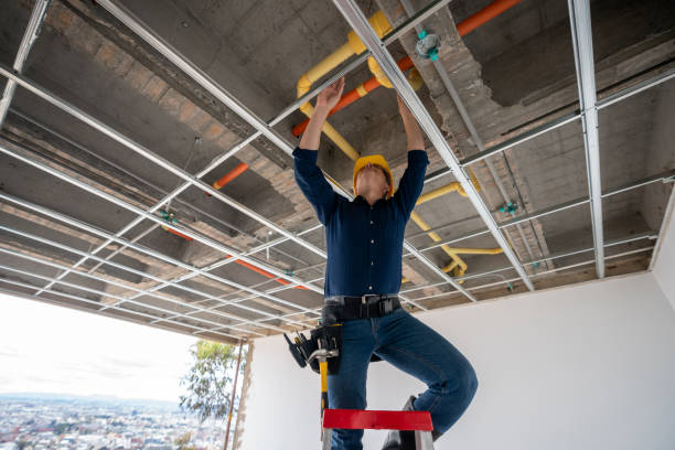 Best Emergency Plumbing Repair  in Wimauma, FL