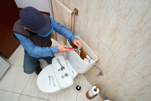 Best Local Plumber Services  in Wimauma, FL